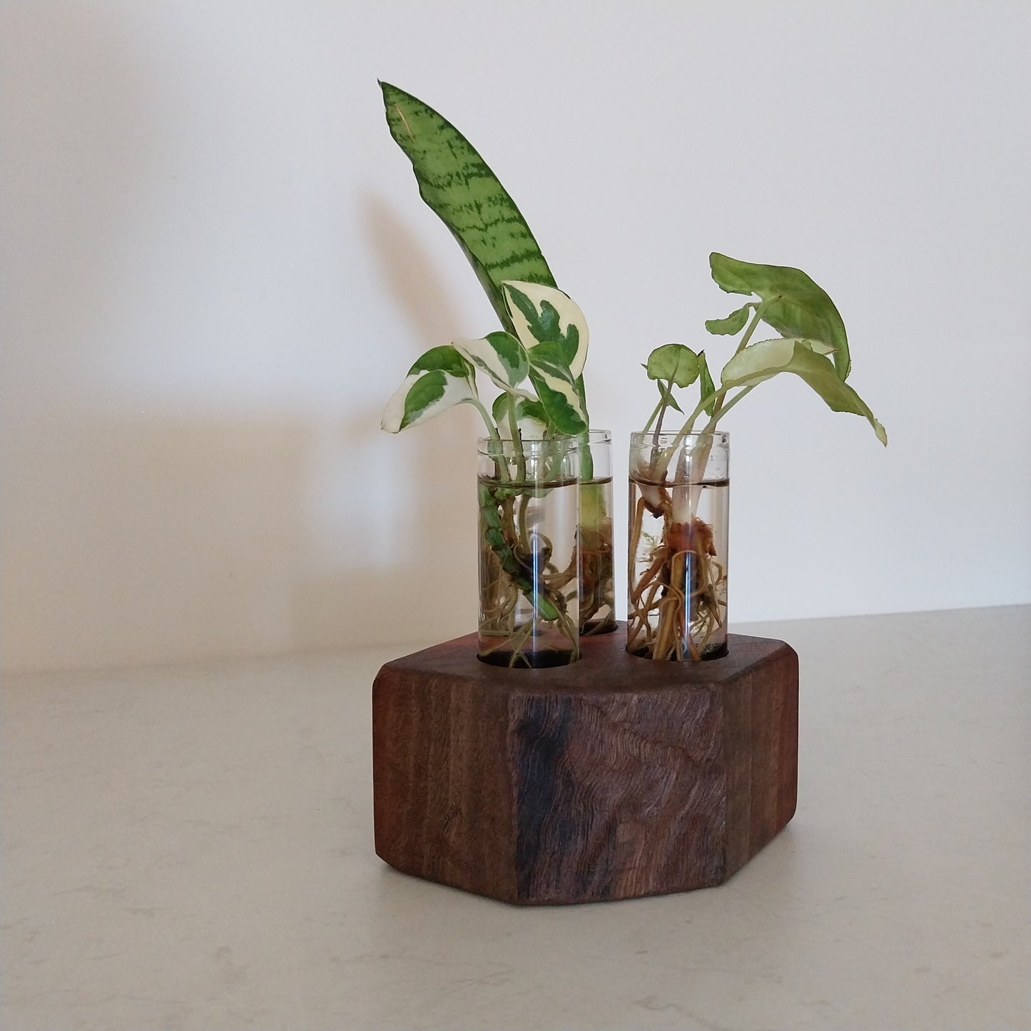 Plant Propagation Stand with  3 tubes - Jarrah