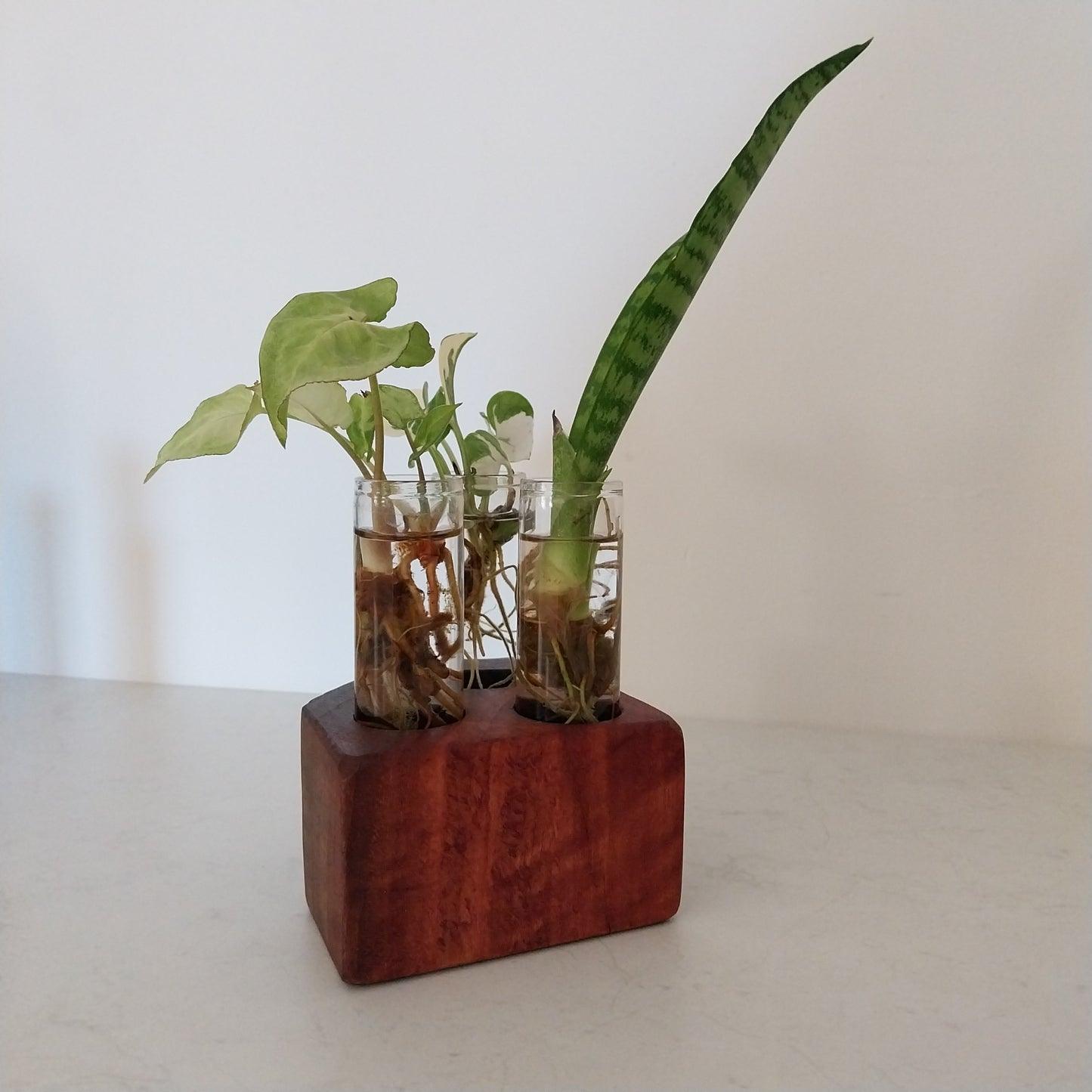 Plant Propagation Stand with  3 tubes - Jarrah